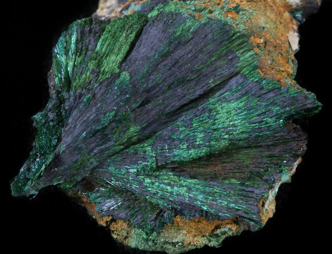 Fibrous Malachite & Azurite - Morocco #42056